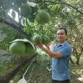 Nguyễn Tấn Tài Nhà Đất