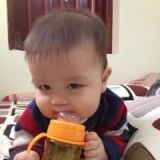 Vũ Viet Hung