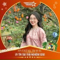 Hứa Quyên Fivestar Travel